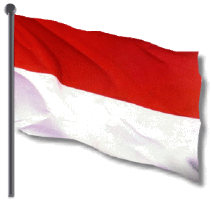 bendera indonesia 1 300x284 » Kontes virtual ala indocontest