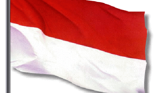 bendera indonesia 1 507x308 » Kontes virtual ala indocontest