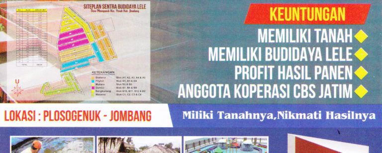 program apta daya kavling tanah budidaya lele 768x308 » Inilah 8 Peluang Usaha Ternak yang Potensial Dibudidayakan di Indonesia