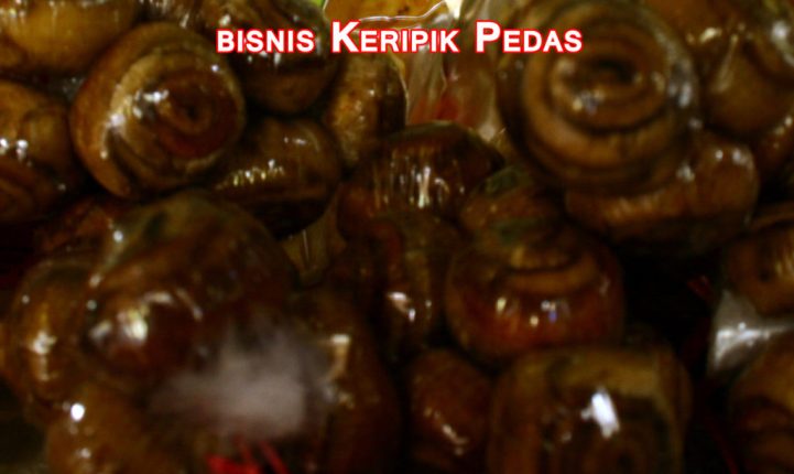 panduan mudah bisnis rumahan keripik pedas 1024x610 » Tips Membangun Usaha Bisnis Keripik Pedas